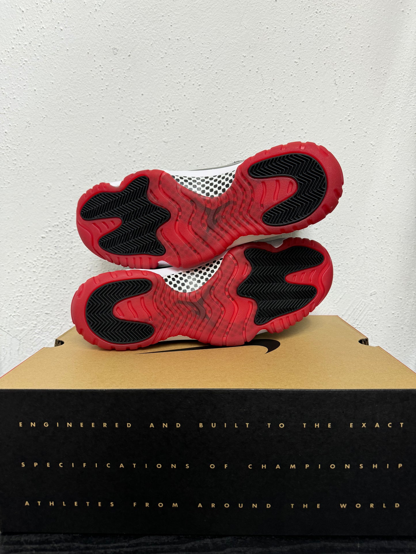 JORDAN 11 BRED (2019)
