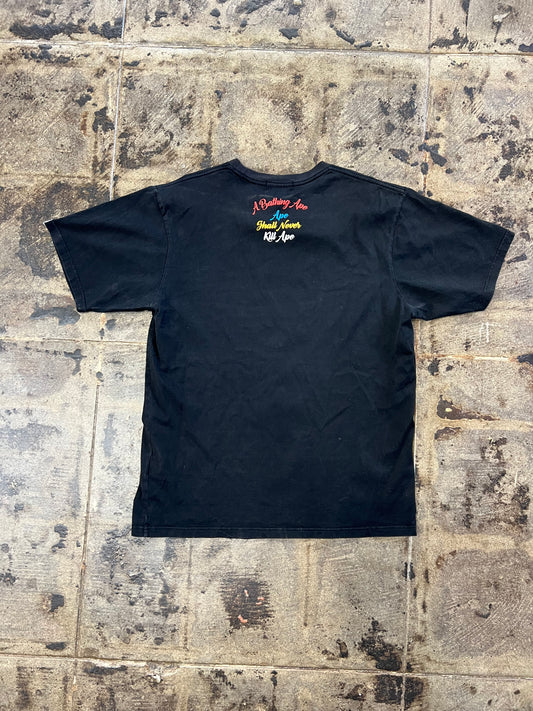 A BATHING APE BAPE MULTI COLOR LETTER COLLEGE TEE