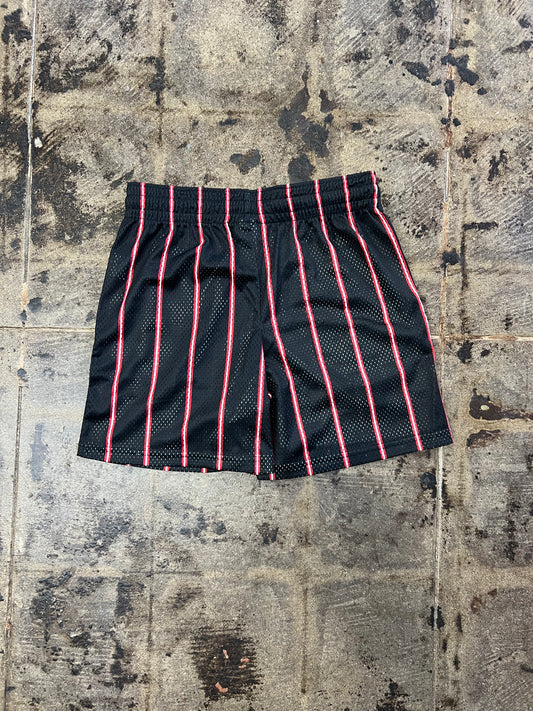 ERIC EMANUEL x CHICAGO BULLS  x  NEW ERA MESH SHORTS