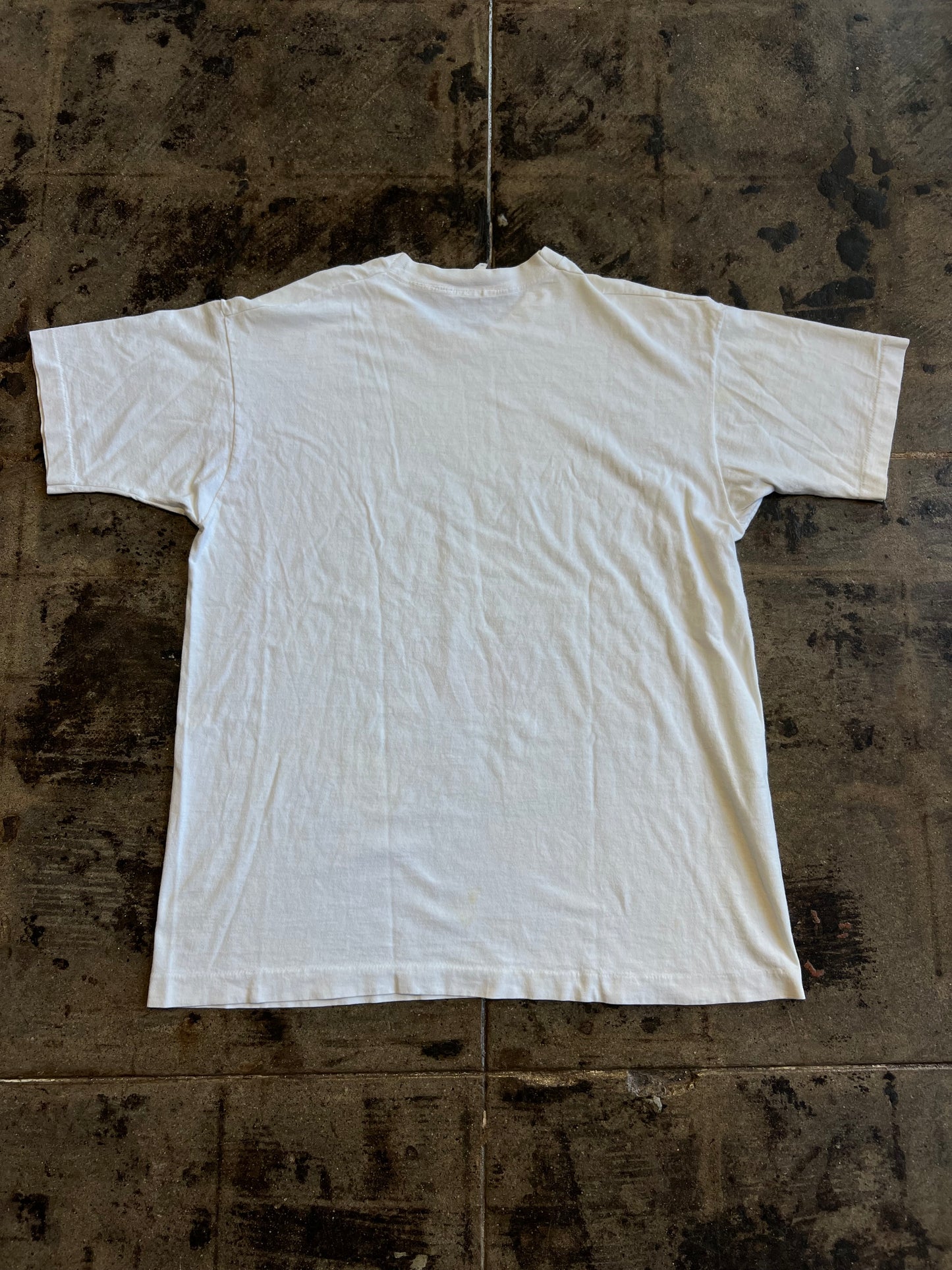 DISNEY MICKEY BLAGGARD CASTLE TEE