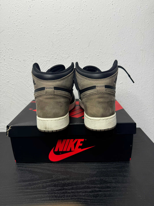 JORDAN 1 PALOMINO GS (USED)