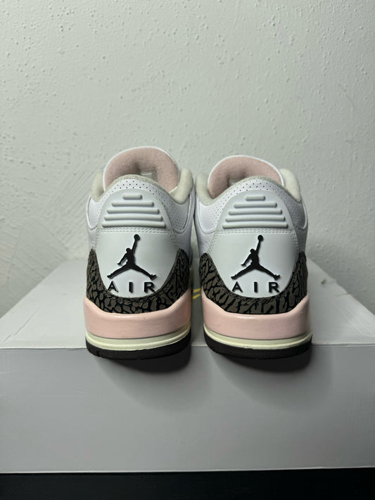 JORDAN 3 NEAPOLITAN USED / 7W(5.5Y)
