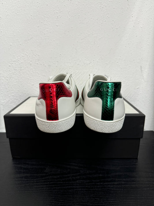GUCCI DESIGNER SNEAKER (USED)