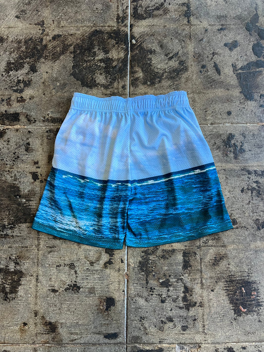 ERIC EMANUEL NY SUNSHINE MESH SHORTS