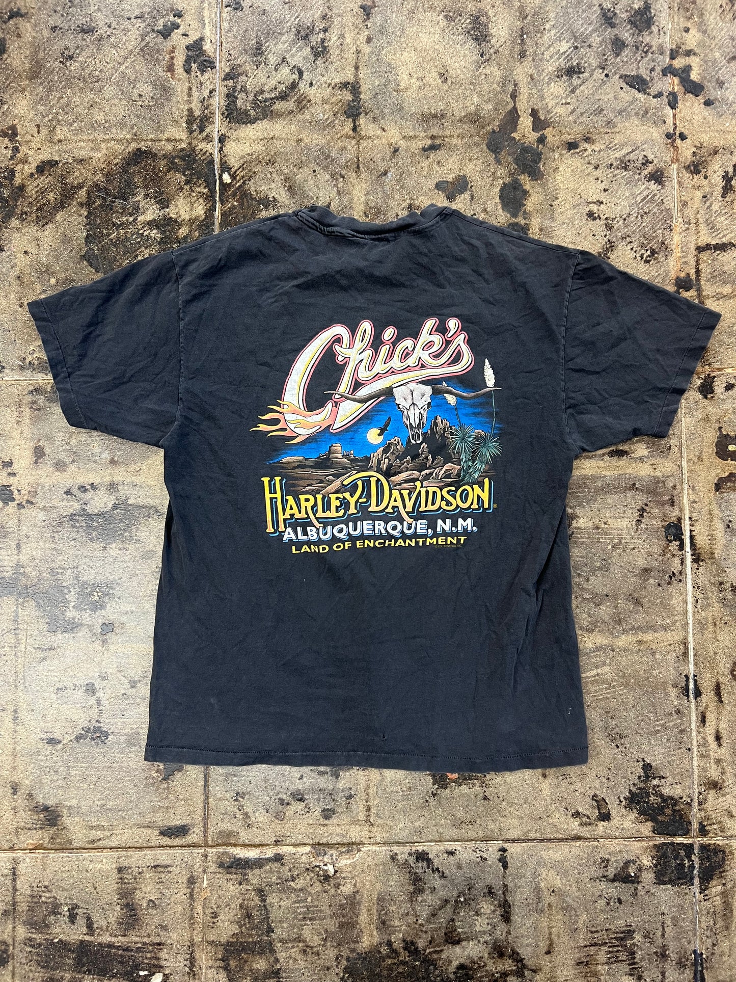 HARLEY DAVIDSON LAND OF ENCHANTMENT TEE