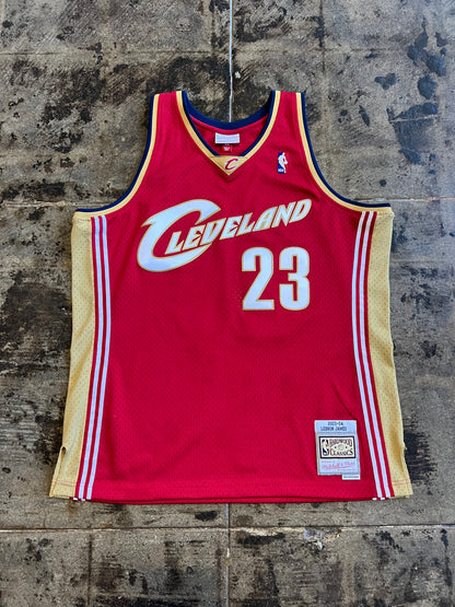 NBA CLEVELAND CAVALIERS JAMES JERSEY