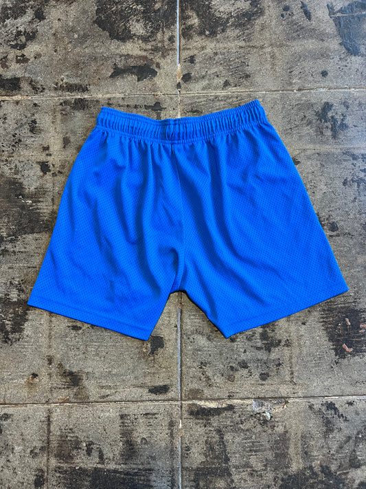 ERIC EMANUEL MESH SHORTS
