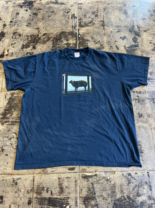 SUPREME DAMIAN HIRST TEE NAVY