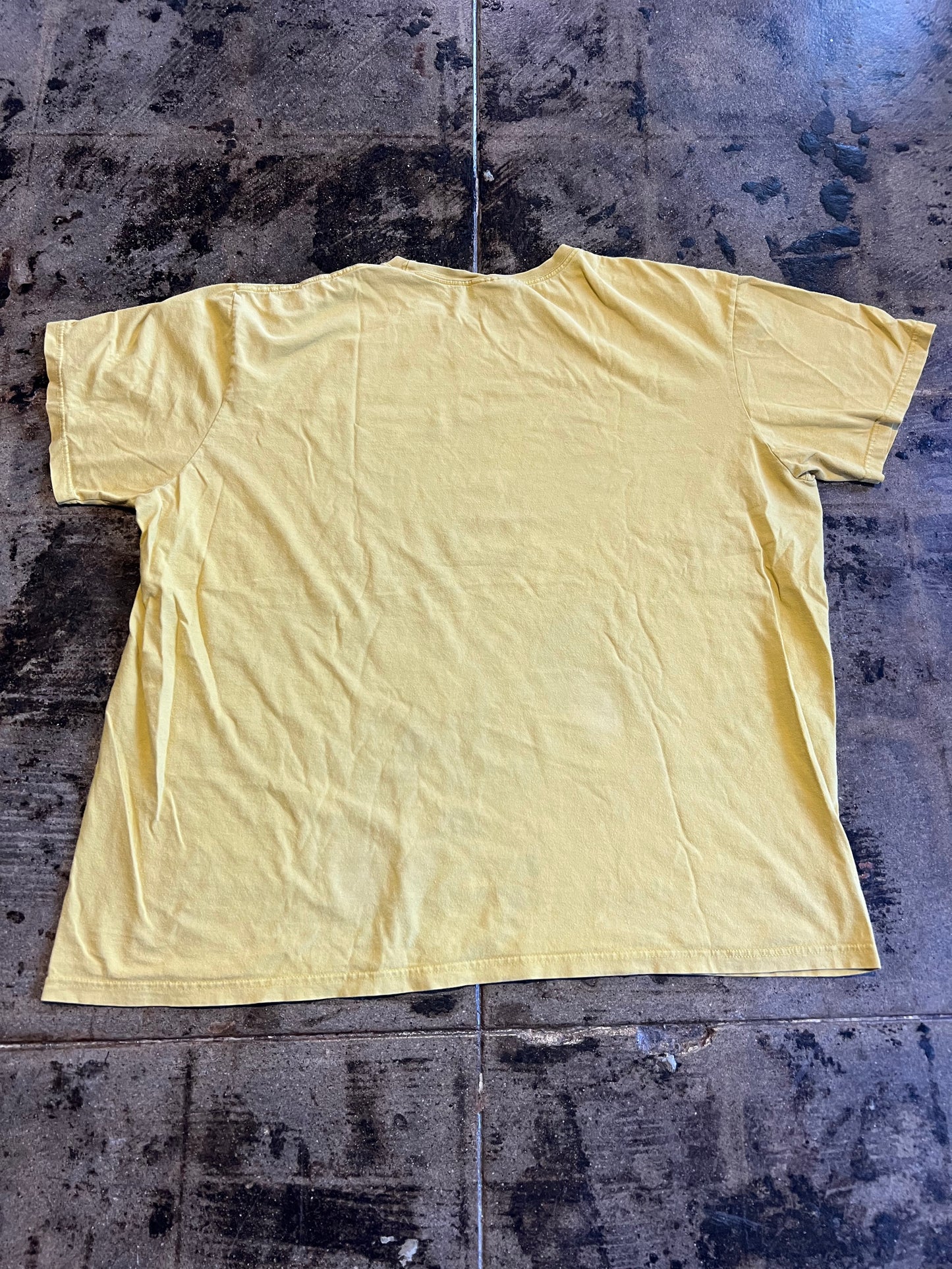 POLO SPORTS YELLOW TEE