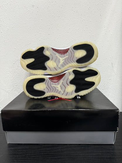 JORDAN 11 LOW 72-10