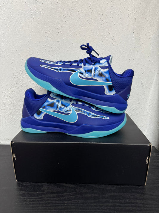 KOBE 5 PROTRO XRAY